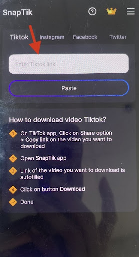 Download Video TikTok SnapTik app